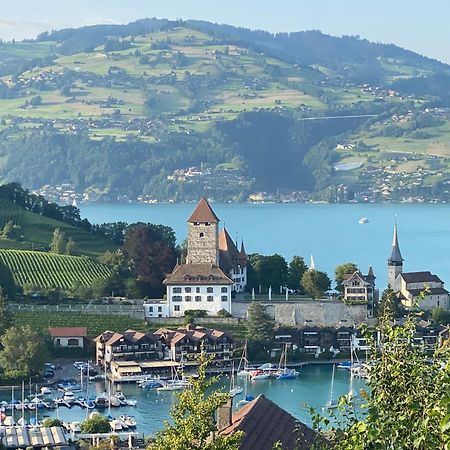 Herrlicher Blick Auf Berge Und See Faulensee Extérieur photo