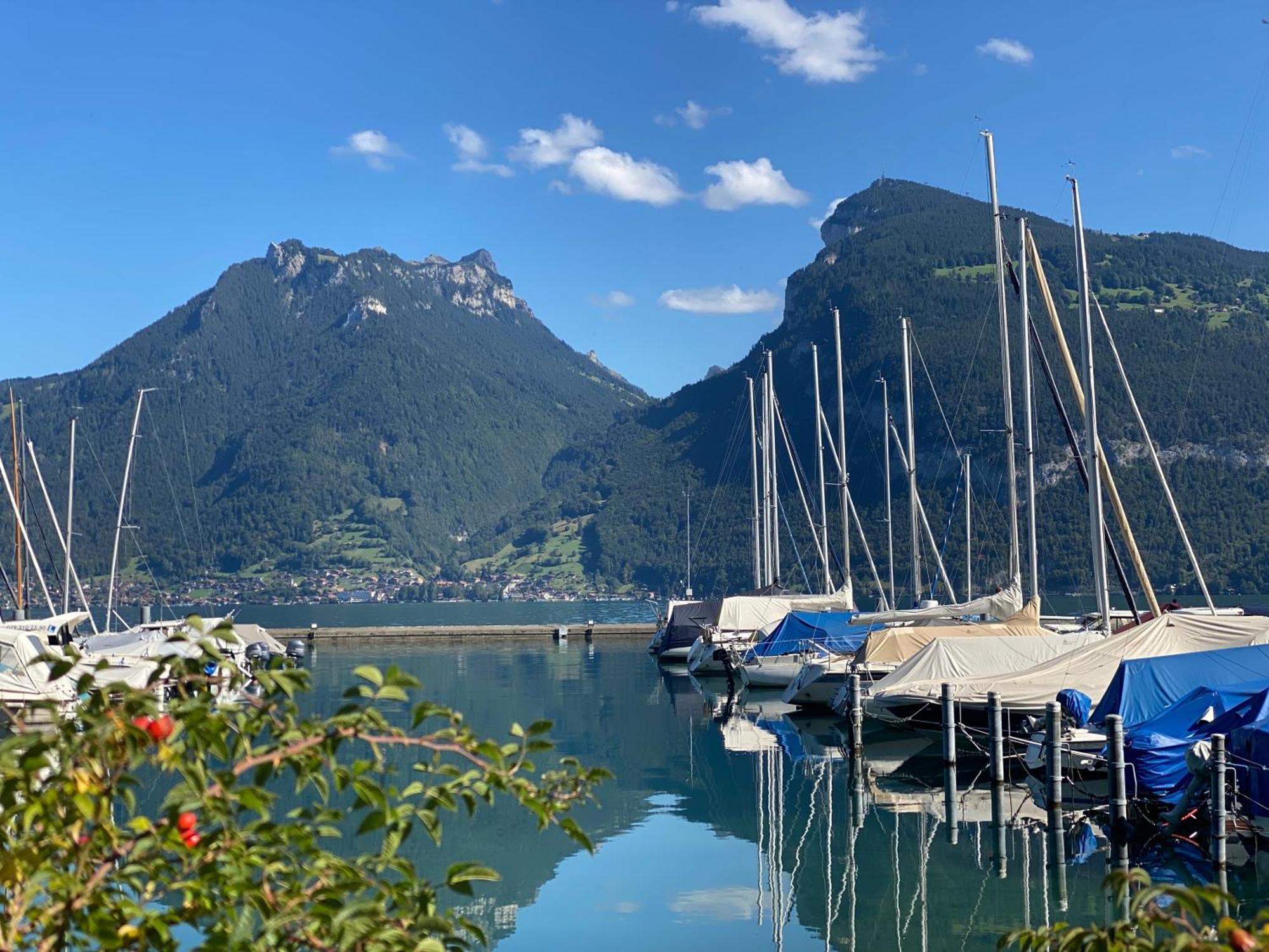 Herrlicher Blick Auf Berge Und See Faulensee Extérieur photo