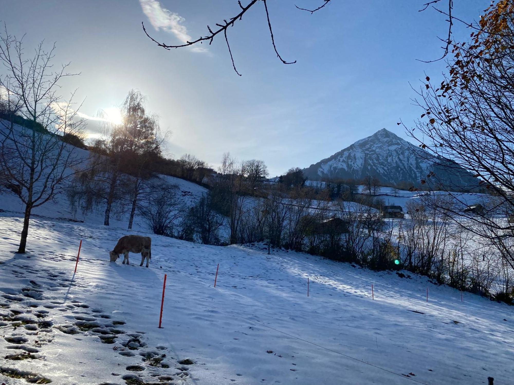 Herrlicher Blick Auf Berge Und See Faulensee Extérieur photo